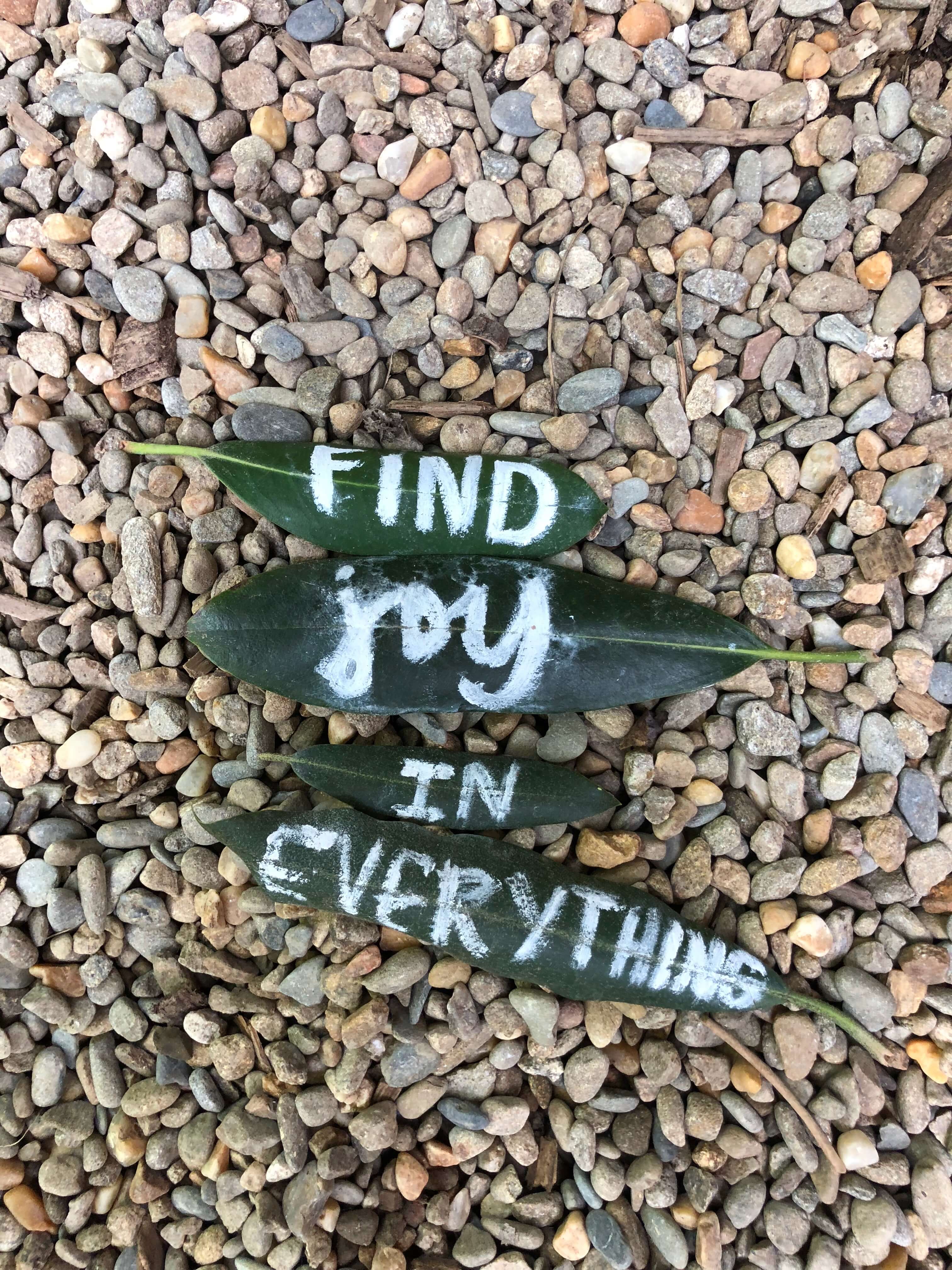 Large stones saying find joy in everything on smaller pebbles