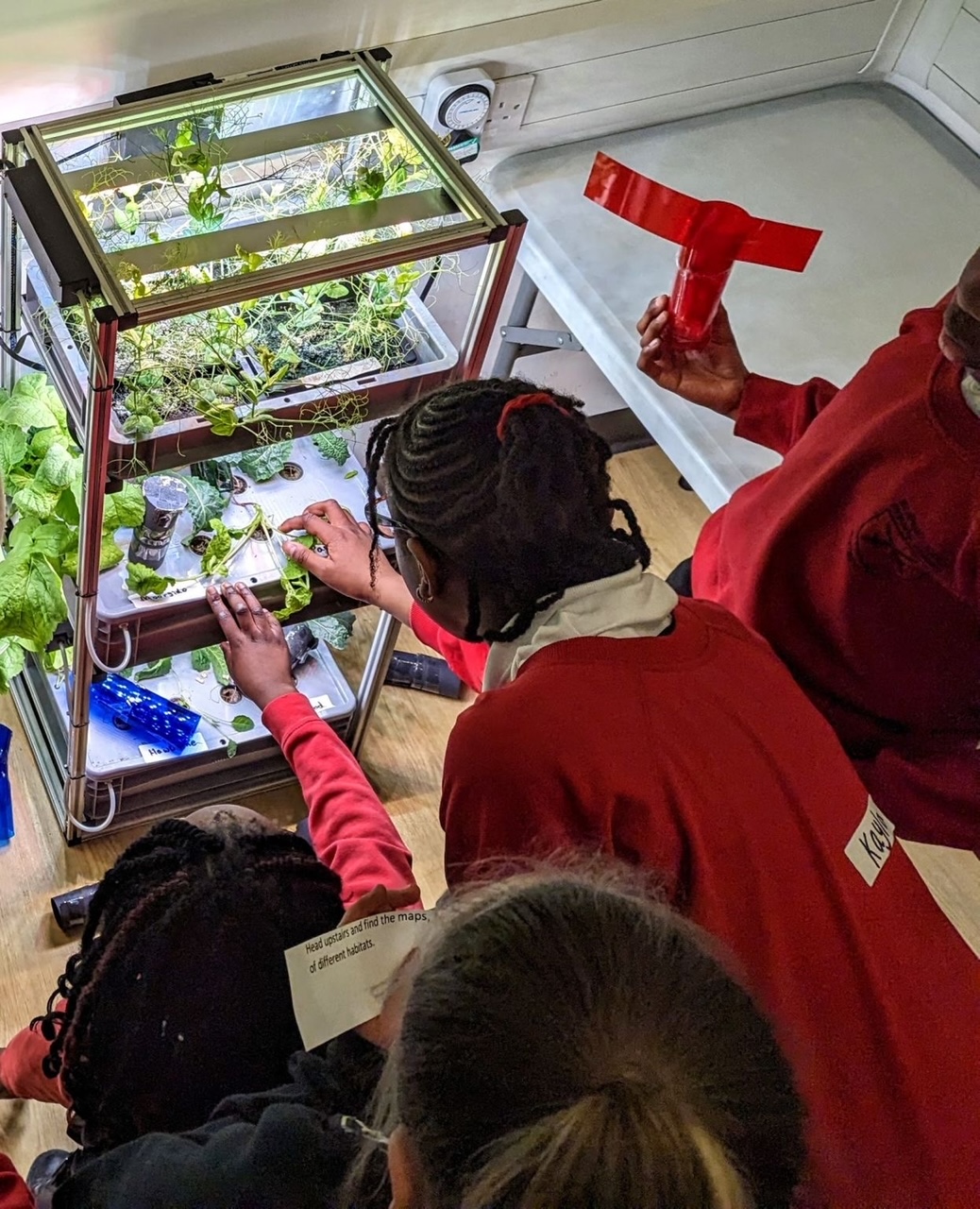 Schoolchildren learning about hydoponics.