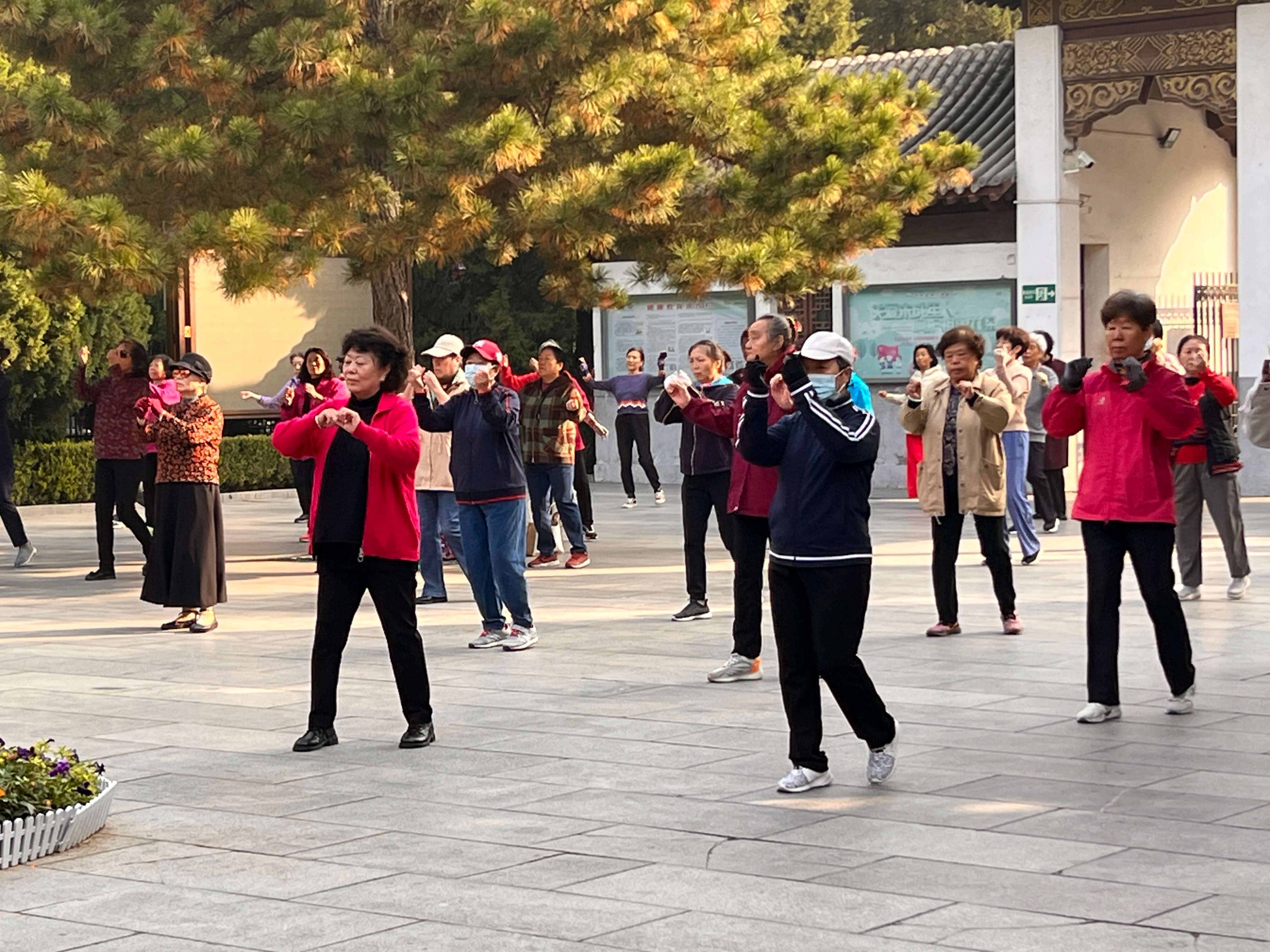 Chinese people doing Tai Chi