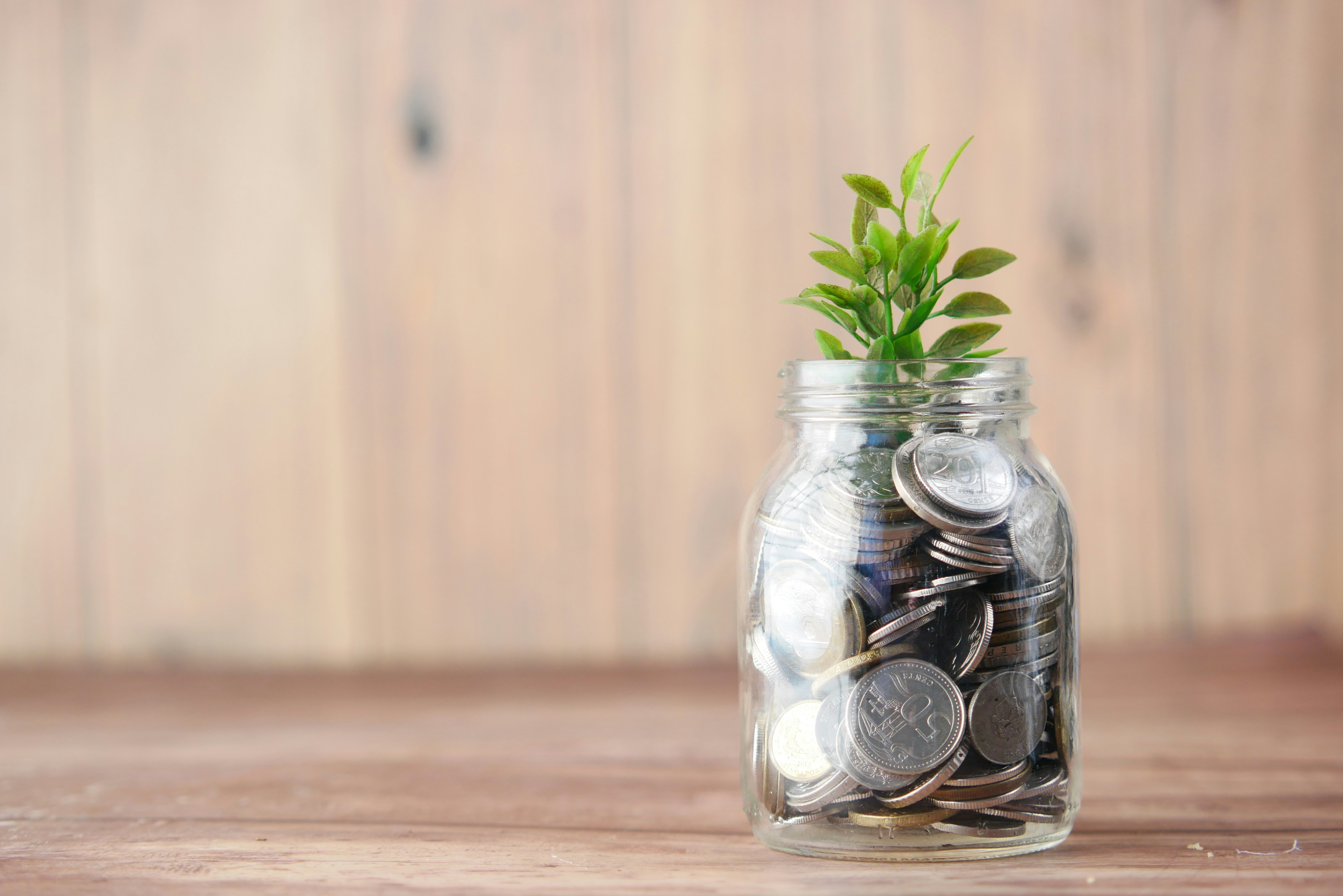 A seedling sprouting out of a jar of money