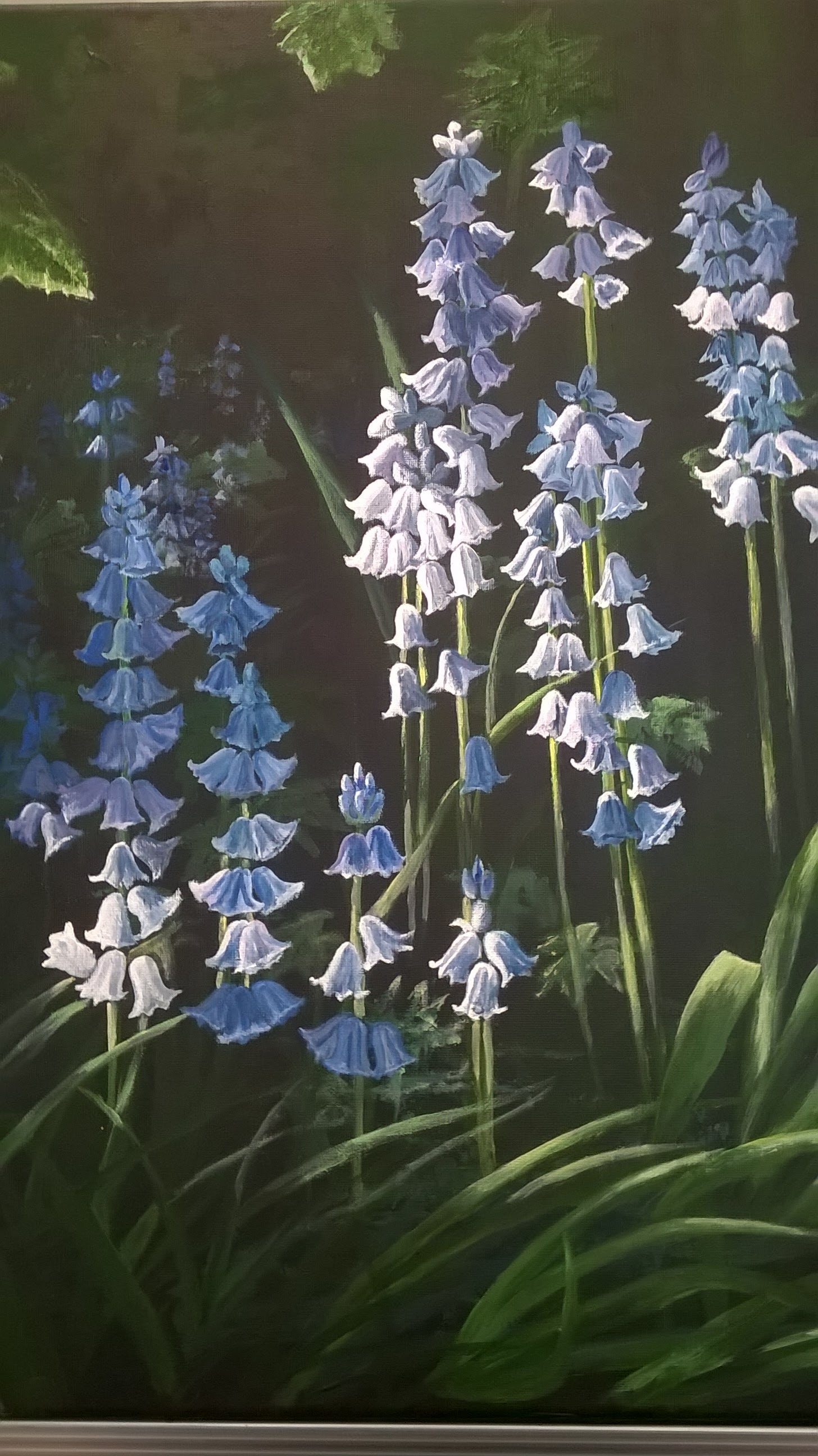 Carols bluebell paining was her experimenting with liught