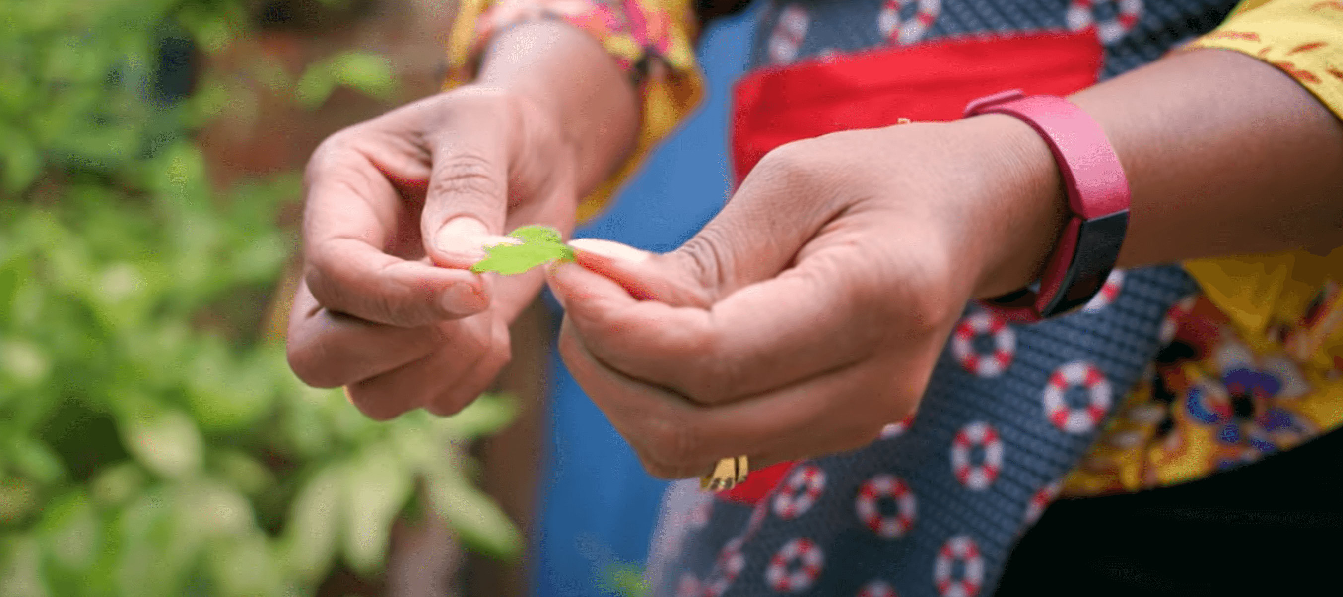 Nadia holding a herb in her hand