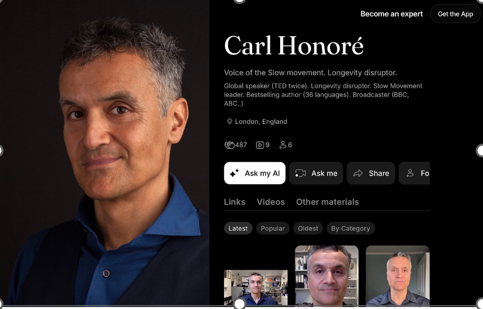 Screen from Carl's AI tool