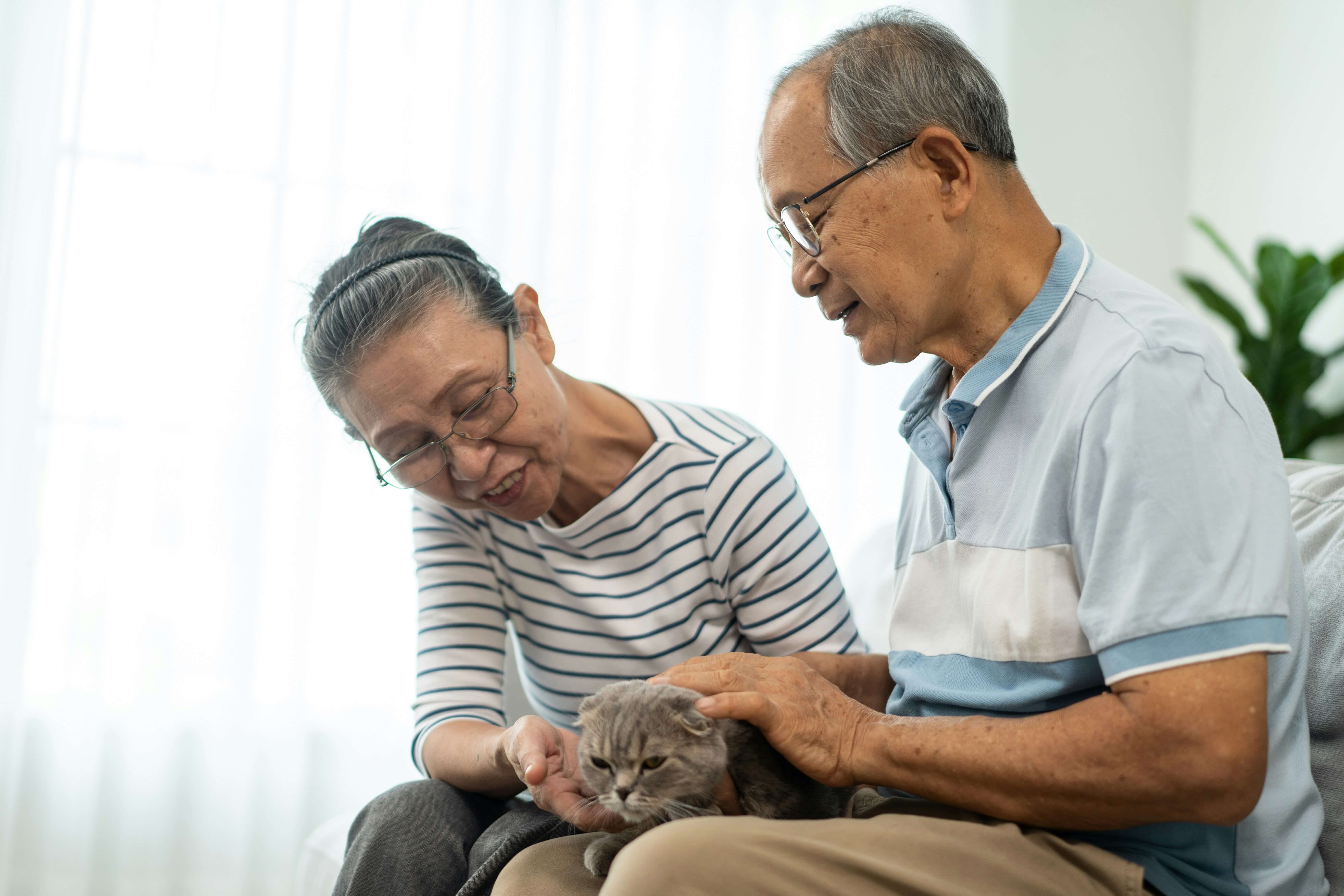 Older Japanese couple stroking a cat.