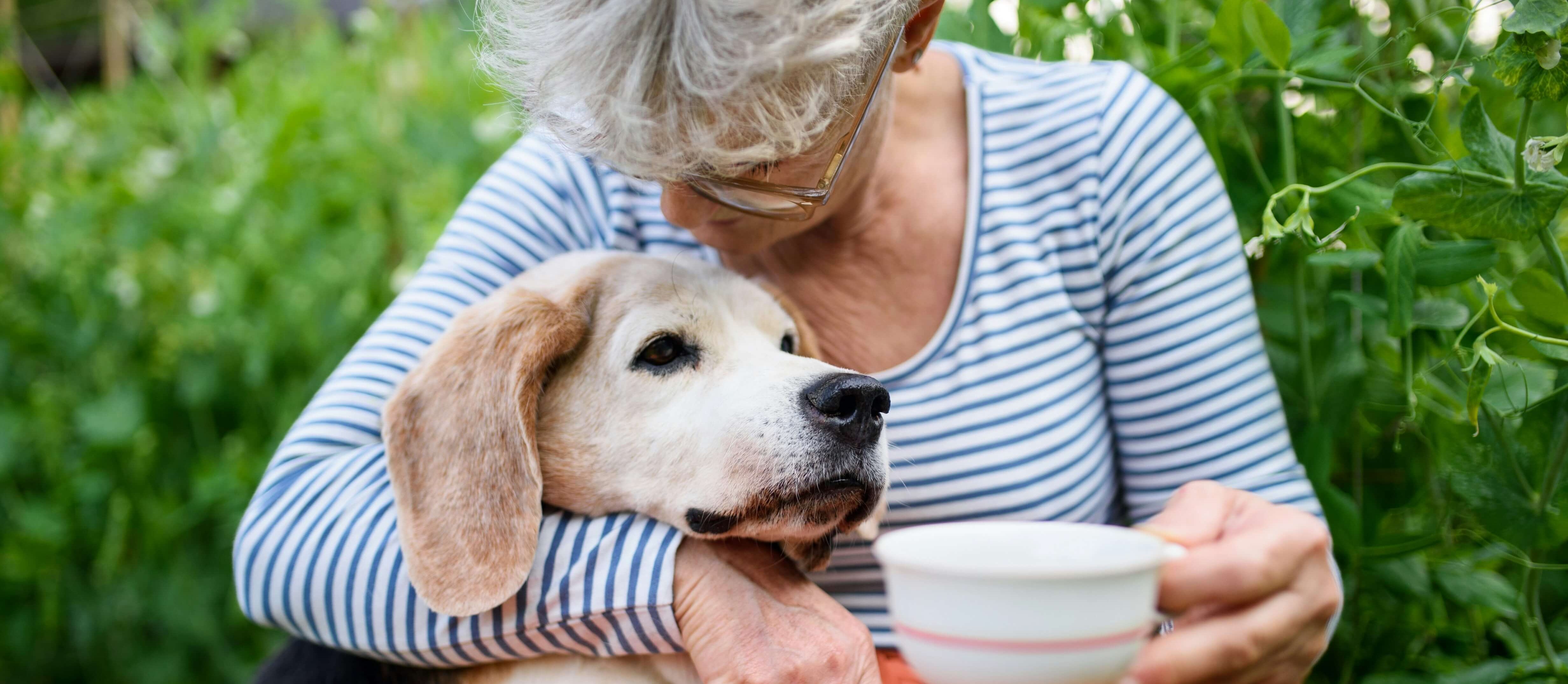 Forget Tech—Get a Dog? Why Pets Might Be the Missing Link to Longevity.