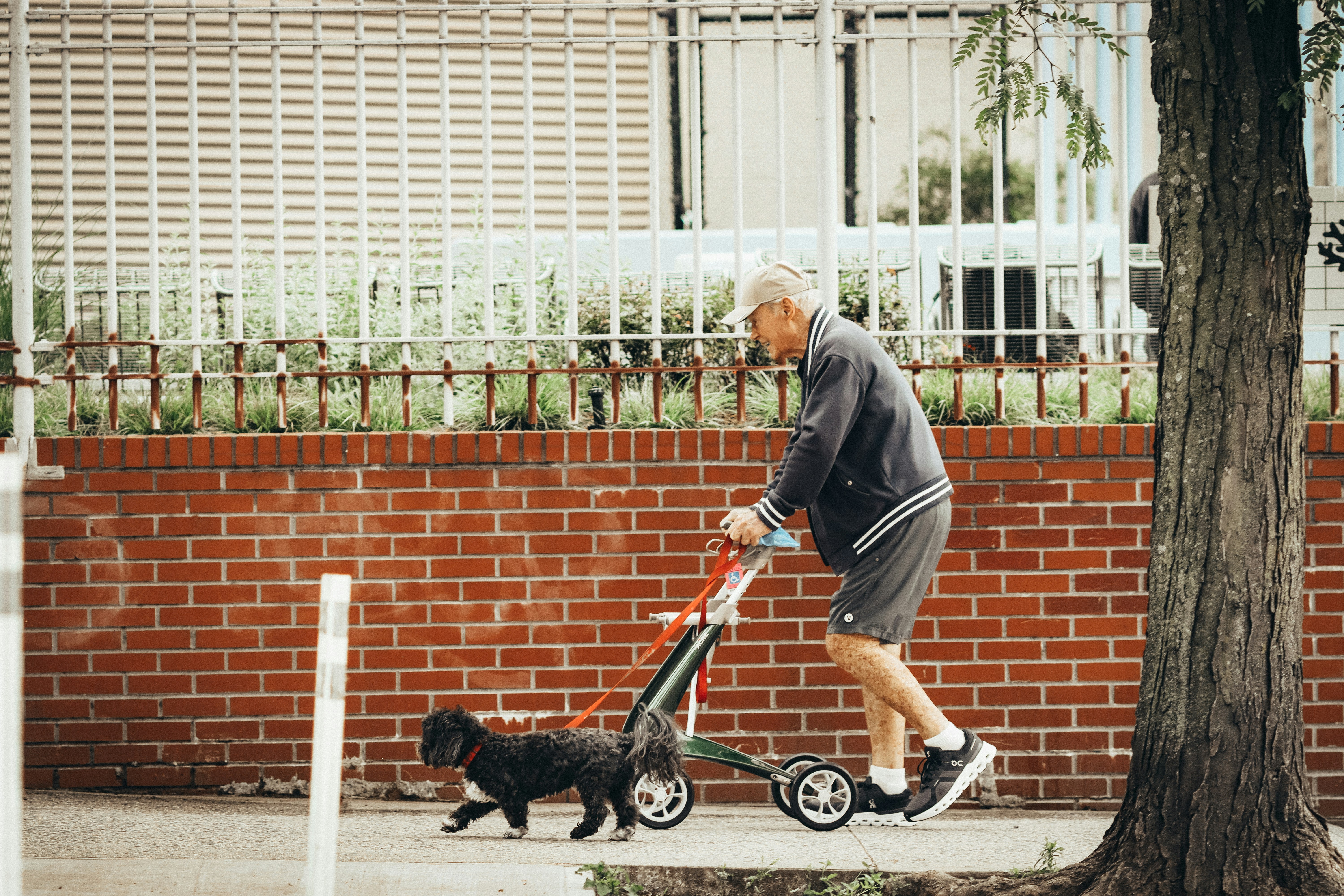 Man walking with stroller and dog