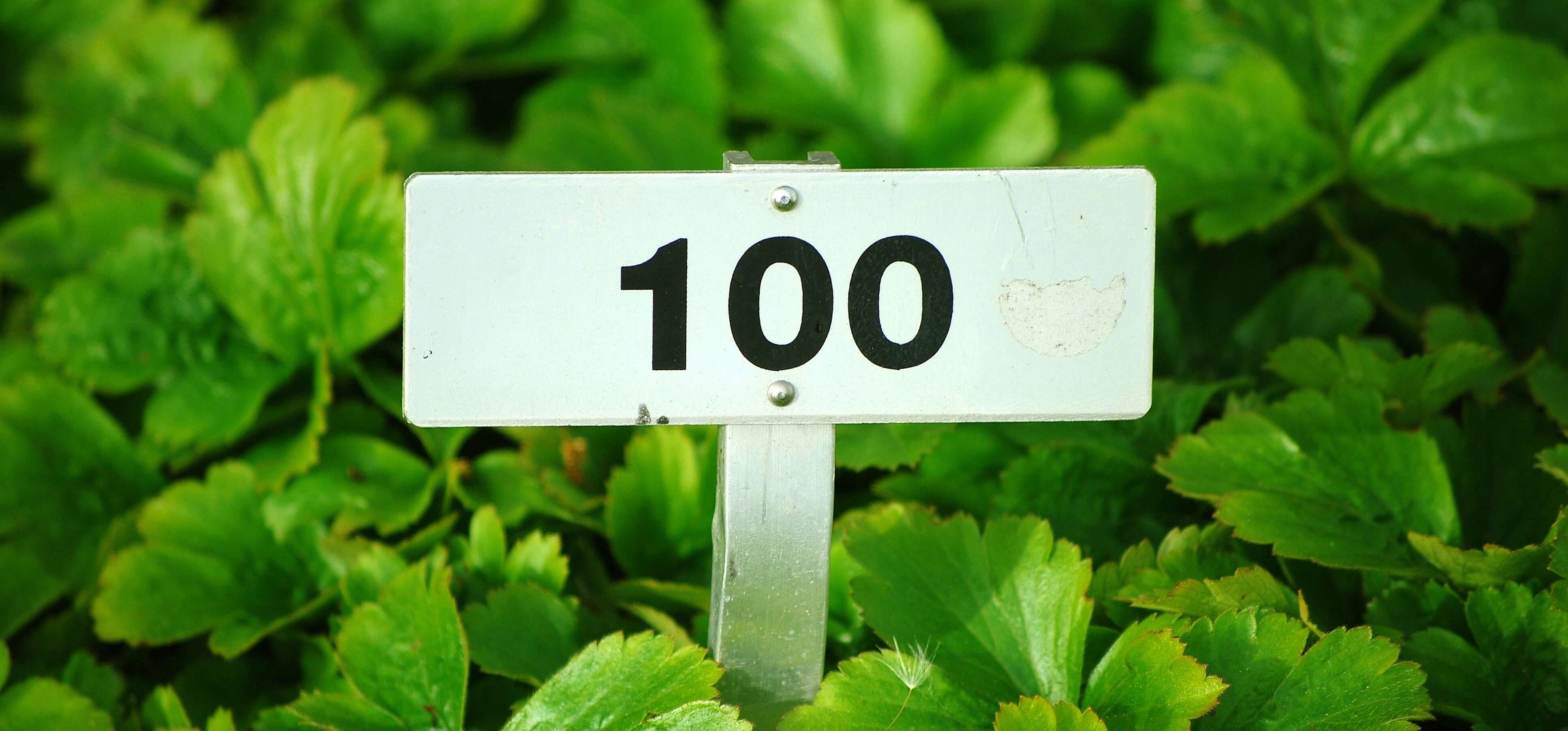 What Do You Want to Do at 100? Start Preparing Now