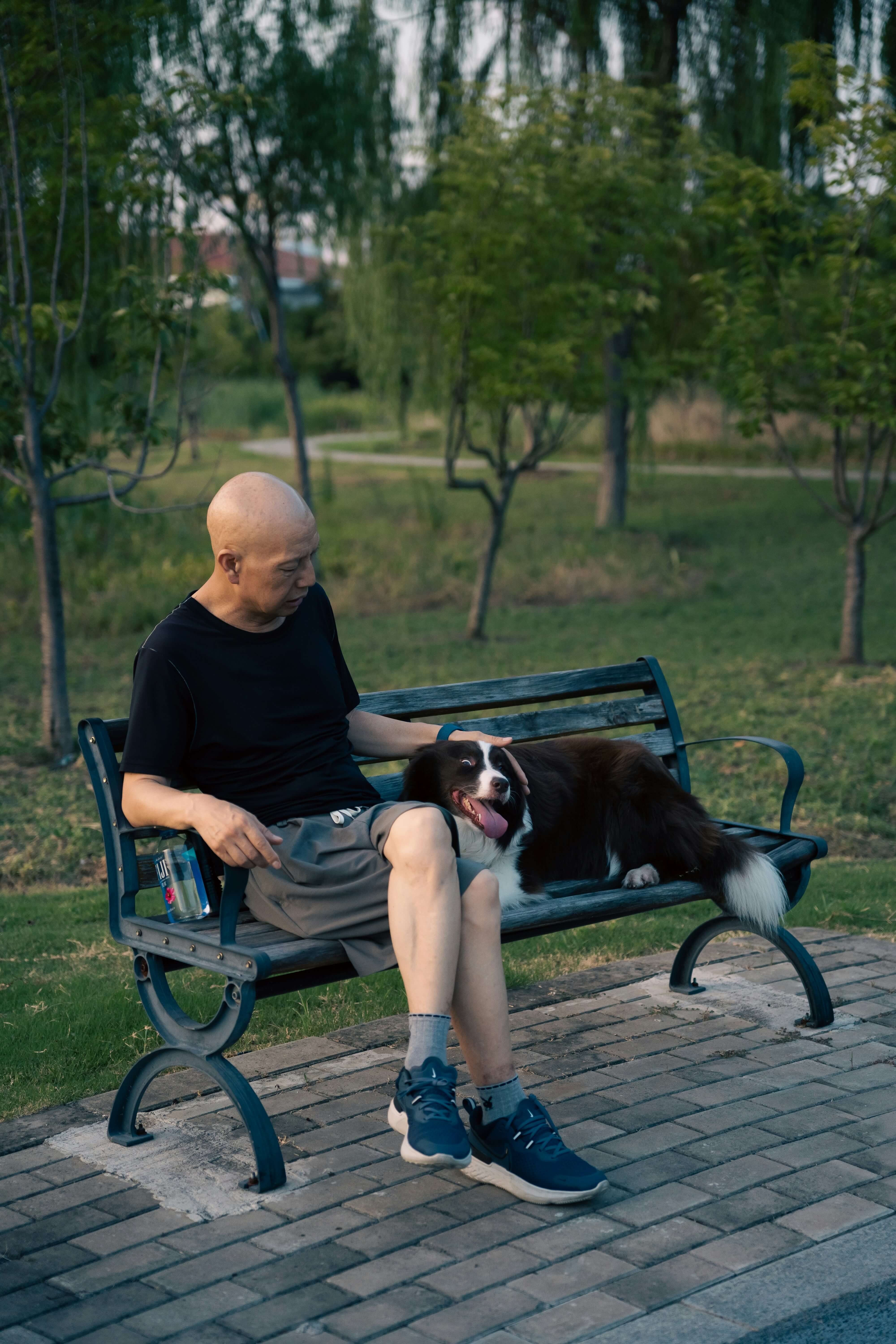 Man on a park bench stroking his dog