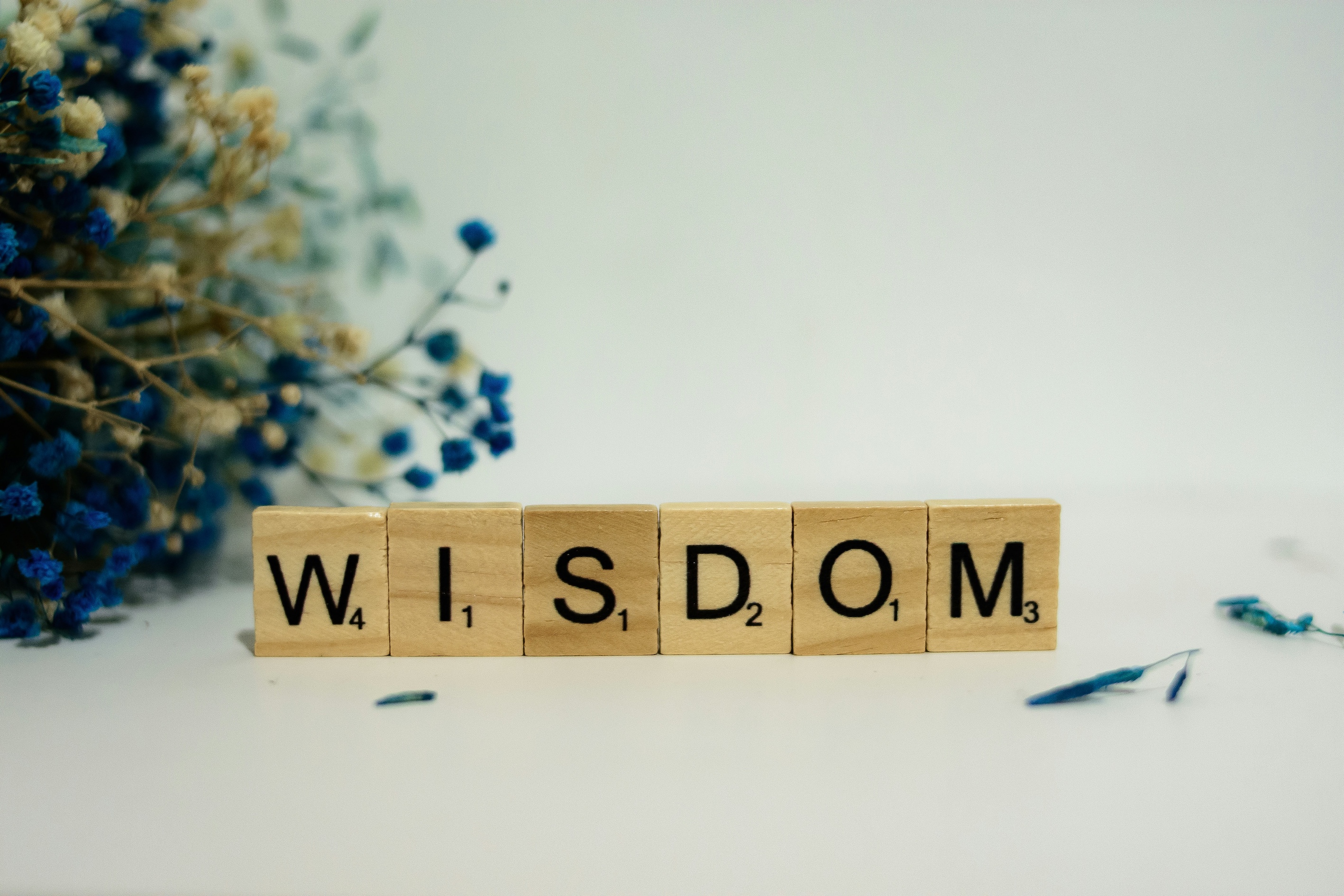 Scrabble letters reading wisdom