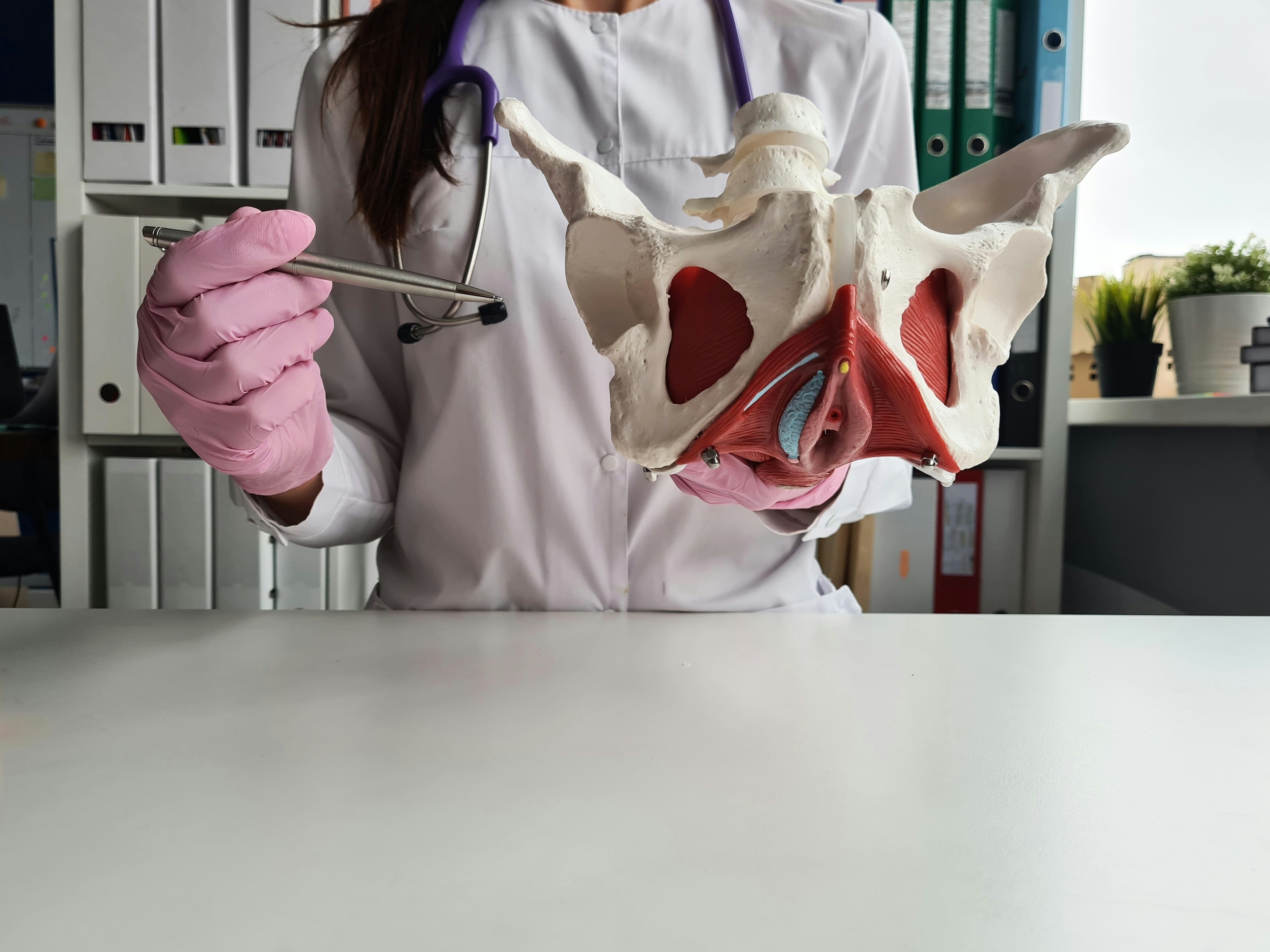A doctor with a skeleton of a pelvis