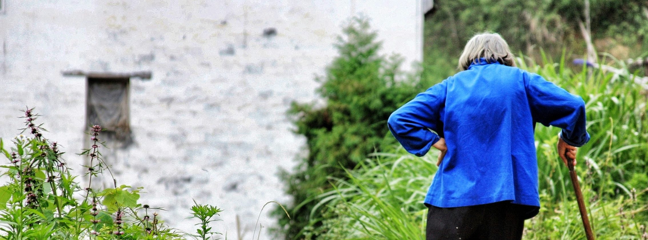 “The World Is Waiting for You”: Lessons on Friendship from Italy